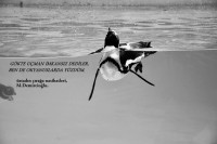 /album/www-m-demircioglu/almanya-107-jpg/